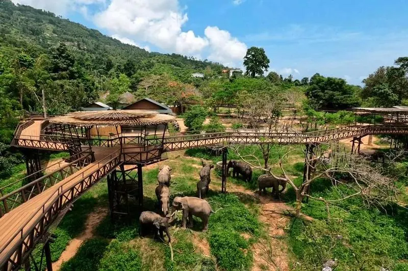 Samui Elephant Kingdom, Koh Samui