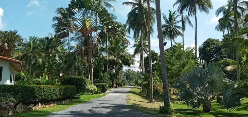 La Rhumerie, Koh Samui