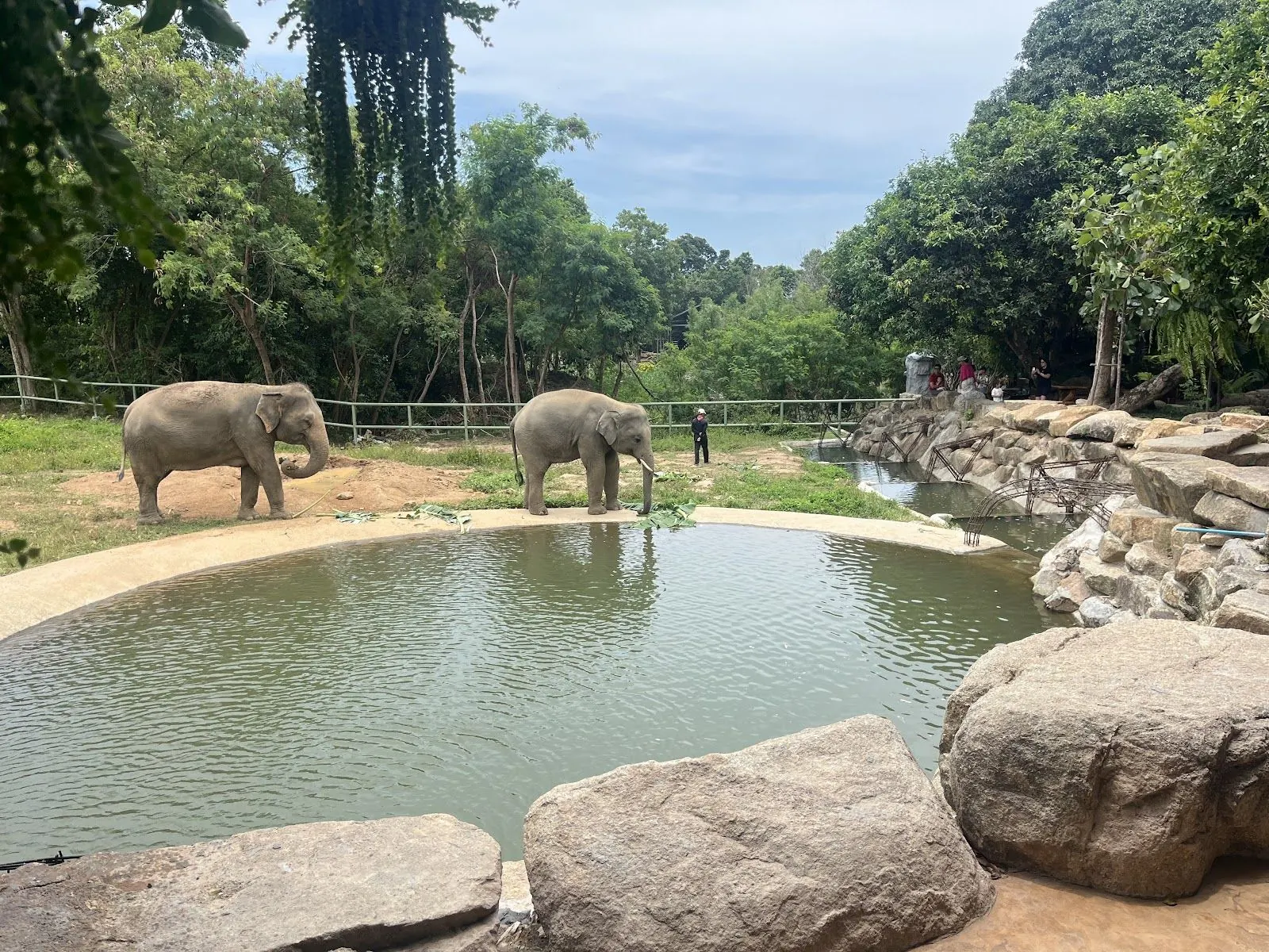 Elefanten am Morgen im Samui Elephant Haven, einen kurzen Spaziergang von der Villa Unity