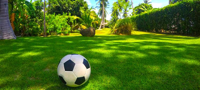 Football Golf / Frisbee Golf